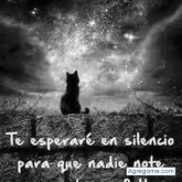 rancaguino_bandido