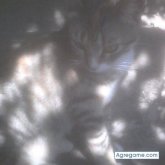 Chatear con jozecarloz de Tumán