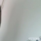 francis2900 chico soltero en Villa Del Rio