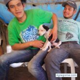 mariguano56 chico soltero en Papantla