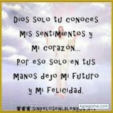 Chatear con Benyflores de Atlanta