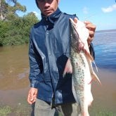 Xq la pizza es redonda y la cortan