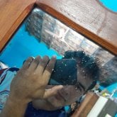 alexisfernando7010
