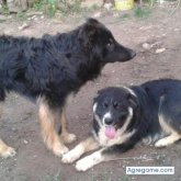 KUTXA chico soltero en Burgos