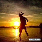 Angelillogrillo foto #13