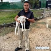 Busco hacer amistades. Personas buena