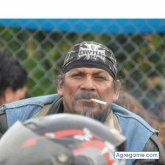 Foto de perfil de perrodel