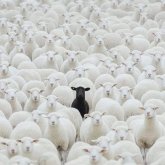 Ricard64 chico soltero en Vinarós