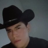 Alguien con quién pasar el rato y