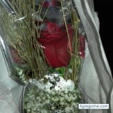 beethovendelgado2777 chico soltero en Atlántida Canelones