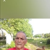 Gustavo6x
