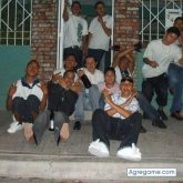 elGALLOxobs foto #7
