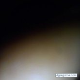 Foto de perfil de Davidmonsal