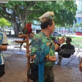 Busco conocer gente. Mujeres o meduras