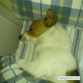 thor foto #46