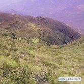 Chatear con germanvaras de Chota