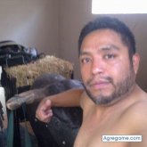 lomachin