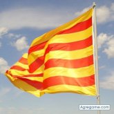 jep chico soltero en Girona