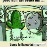 Pedro
