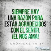 andresmambuca8000 foto #21