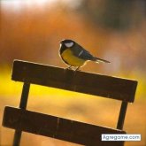 Chatear con Bocolla de Andorra