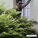 Foto de perfil de xxxsilvio