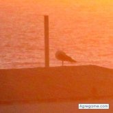 Foto de perfil de Tauro34