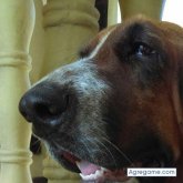 NormaMontes chica casada en Inírida