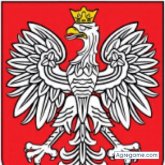 alainr chico soltero en 