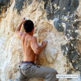 Salusty chico soltero en West Babylon