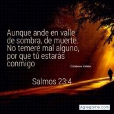 Chatear con arielramirez7914 de Areguá