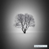 Chatear con Rafo123 de Cerro Colorado