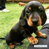 juanka2311 chico soltero en Alajuelita