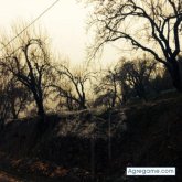 Teupa chico soltero en Albacete