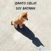 Ver fotos más de giovannileon
