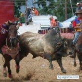 elcoleador chico soltero en Maturín