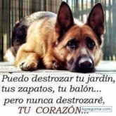 Carlos Mendoza