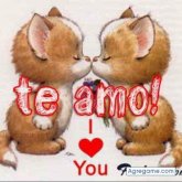 Josealberto1980 chico soltero en Fall River