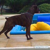 jajaja chica soltera en Mariano J. Haedo