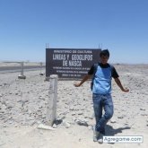 noelrodriguez3696 foto #8