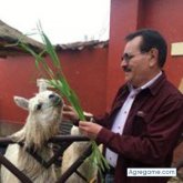 Reynaldo Herrera Chávez