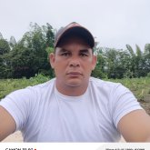 reinelquinones