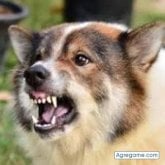 Foto de perfil de sergiofernando5158