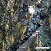 gus6713 chico soltero en Acambay