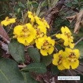 Chatear con mariomastandrea de Altamira