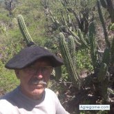 Ver fotos más de alfredoromero2727