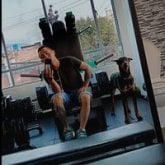 Foto de perfil de wilgrd