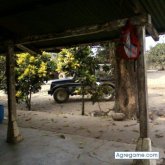 ronalao foto #7