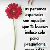 albertomoyano chico soltero en Mariano Acosta