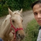 Foto de perfil de Micolestiben